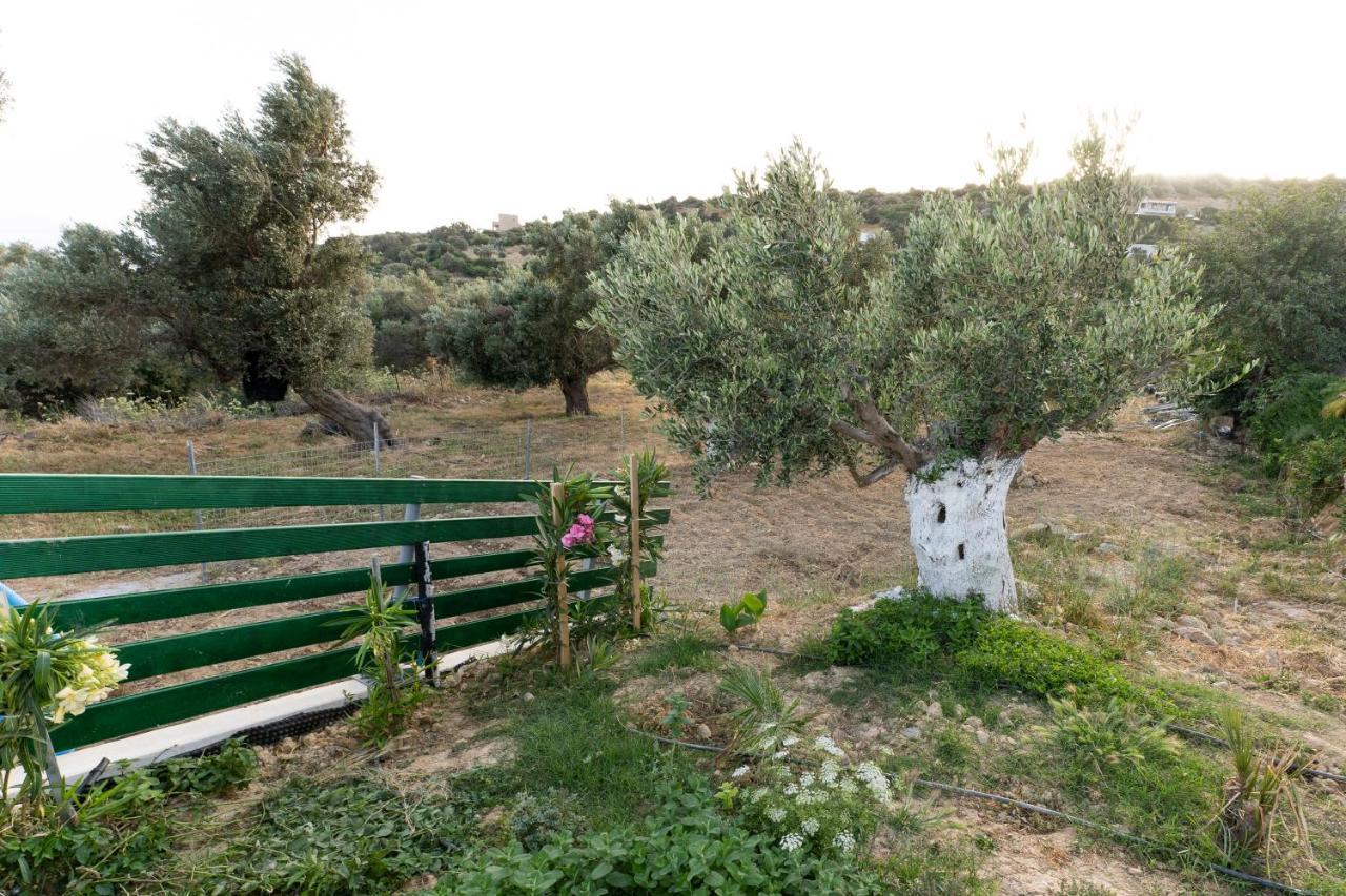 Villa Galini House à Triopetra Extérieur photo