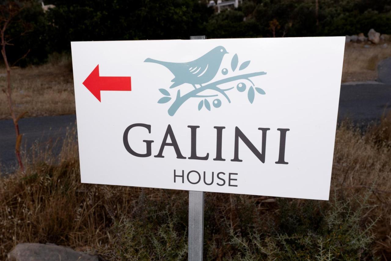 Villa Galini House à Triopetra Extérieur photo